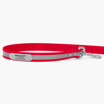 Personalized name plate on leash
